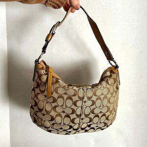 Coach Brown and Tan Hobo Bag